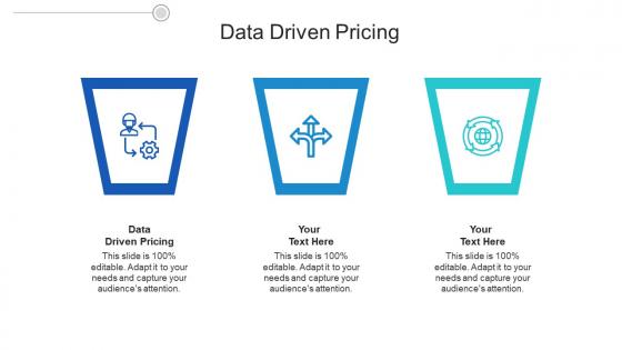 Data driven pricing ppt powerpoint presentation professional example file cpb