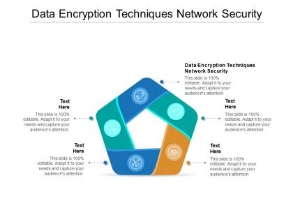 Data encryption techniques network security ppt powerpoint presentation gallery example cpb