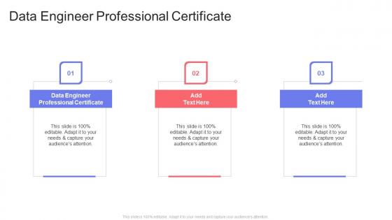 Data Engineer Professional Certificate In Powerpoint And Google Slides Cpb