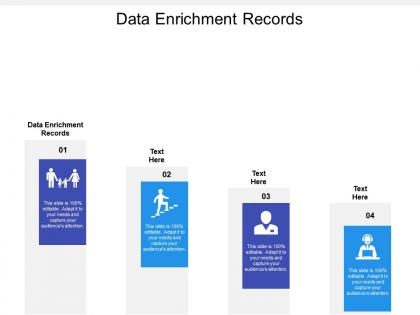 Data enrichment records ppt powerpoint presentation gallery tips cpb