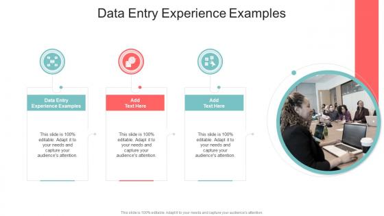Data Entry Experience Examples In Powerpoint And Google Slides Cpb