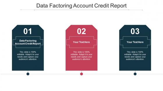 Data Factoring Account Credit Report Ppt Powerpoint Presentation Summary Examples Cpb