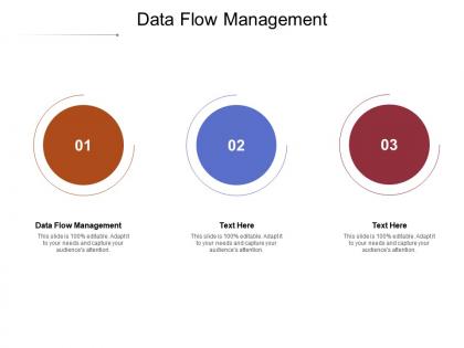 Data flow management ppt powerpoint presentation show brochure cpb