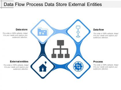 Data flow process data store external entities