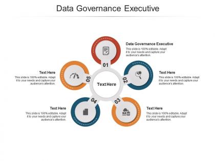 Data governance executive ppt powerpoint presentation slides gridlines cpb