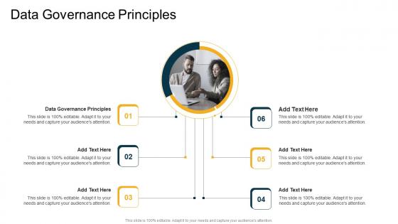Data Governance Principles In Powerpoint And Google Slides Cpb