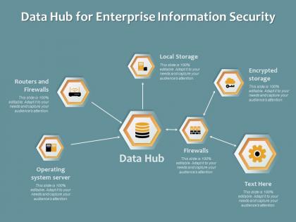 Data hub for enterprise information security