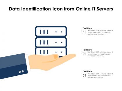Data identification icon from online it servers