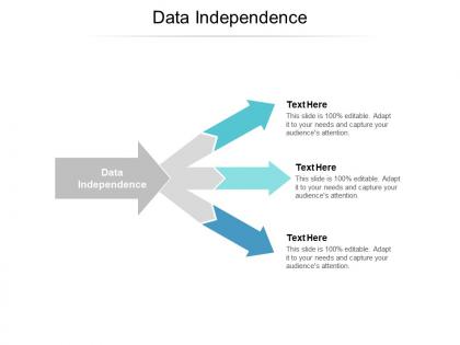 Data independence ppt powerpoint presentation slides brochure cpb