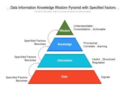 Data information knowledge wisdom pyramid with specified factors