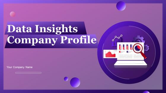 Data Insights Company Profile Powerpoint Presentation Slides CP CD V