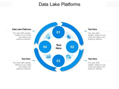 Data lake platforms ppt powerpoint presentation file graphics design cpb