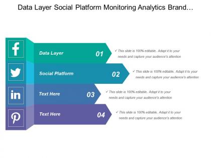 Data layer social platform monitoring analytics brand monitoring