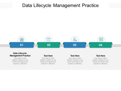 Data lifecycle management practice ppt powerpoint presentation summary file formats cpb