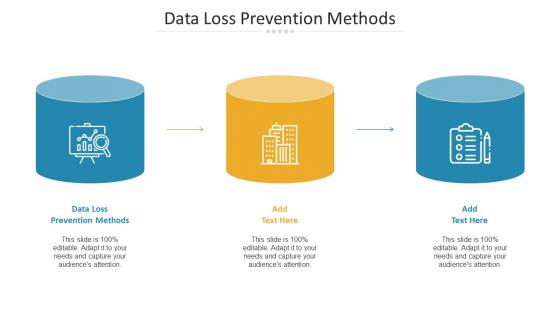 Data Loss Prevention Methods Ppt Powerpoint Presentation Show Layout Cpb