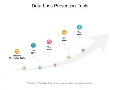 Data loss prevention tools ppt powerpoint presentation portfolio example file cpb