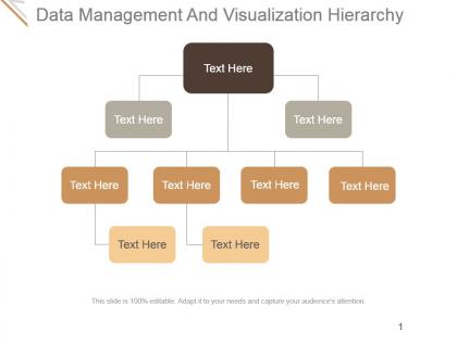 Data management and visualization hierarchy ppt background