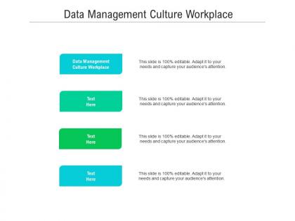 Data management culture workplace ppt powerpoint presentation pictures icon cpb