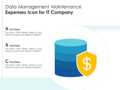 Data management maintenance expenses icon for it company