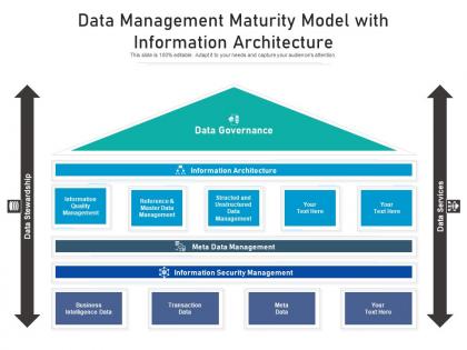 Data management maturity model with information architecture