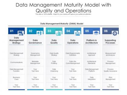 Data management maturity model with quality and operations