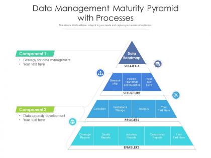Data management maturity pyramid with processes