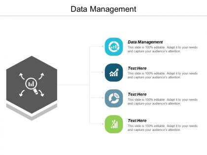 Data management ppt powerpoint presentation icon designs download cpb