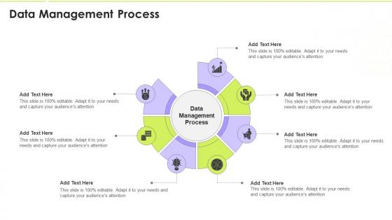 Data Management Process In Powerpoint And Google Slides Cpb