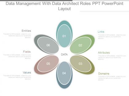 Data management with data architect roles ppt powerpoint layout