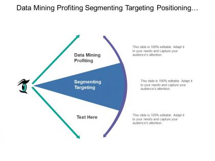 Data mining profiting segmenting targeting positioning differentiating fulfillment service