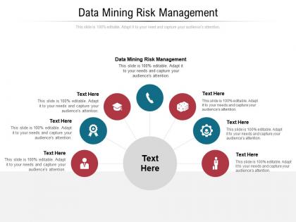 Data mining risk management ppt powerpoint presentation portfolio visuals cpb