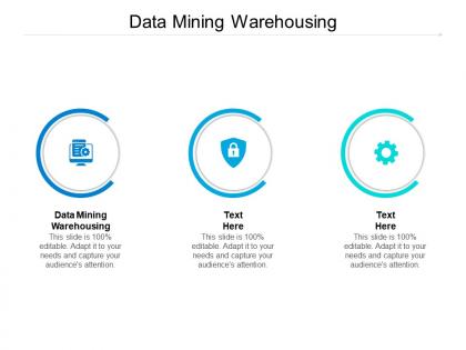 Data mining warehousing ppt powerpoint presentation professional cpb