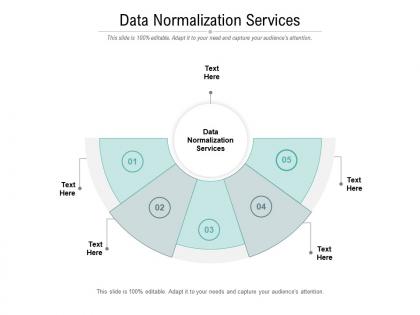 Data normalization services ppt powerpoint presentation slides elements cpb