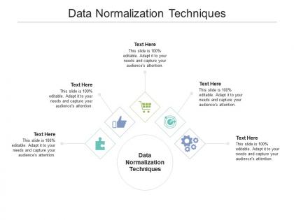 Data normalization techniques ppt powerpoint presentation outline template cpb