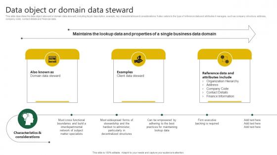 Data Object Or Domain Data Steward Stewardship By Project Model