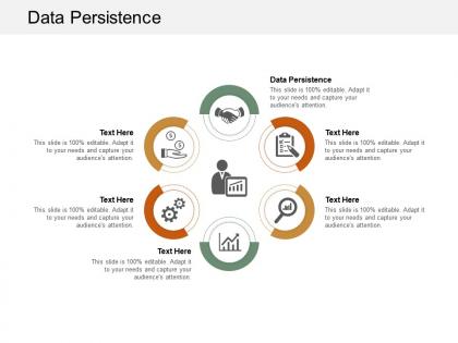 Data persistence ppt powerpoint presentation professional maker cpb