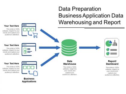 Data preparation business application data warehousing and report