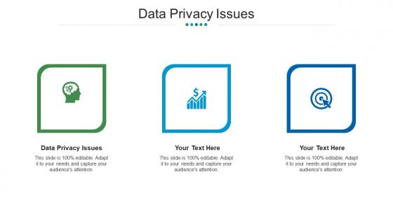 Data privacy issues ppt powerpoint presentation infographic template layouts cpb