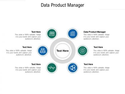 Data product manager ppt powerpoint presentation infographic template slides cpb