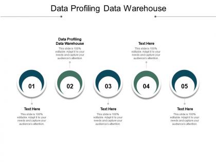 Data profiling data warehouse ppt powerpoint presentation model themes cpb