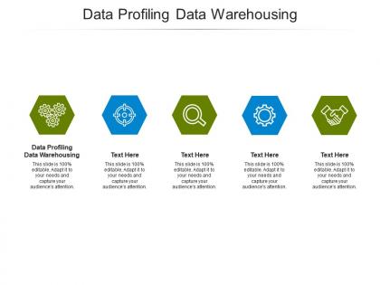 Data profiling data warehousing ppt powerpoint presentation professional slideshow cpb