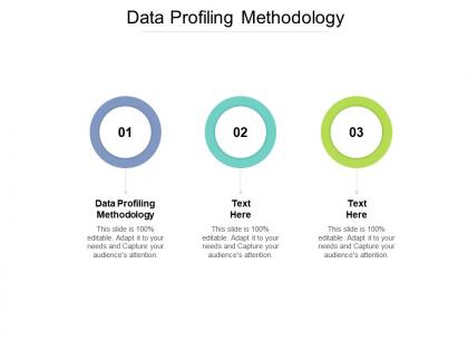 Data profiling methodology ppt powerpoint presentation icon diagrams cpb