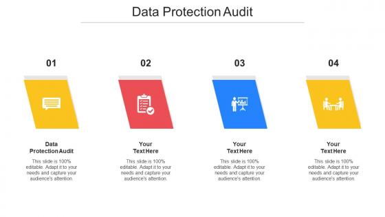 Data Protection Audit Ppt Powerpoint Presentation Gallery Backgrounds Cpb