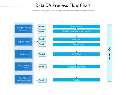 Data qa process flow chart