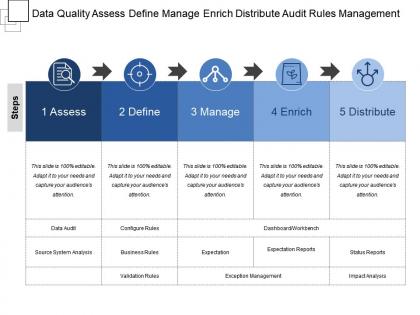 Data quality assess define manage enrich distribute audit rules management