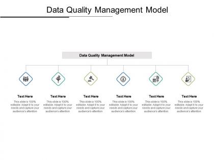 Data quality management model ppt powerpoint presentation layouts introduction cpb
