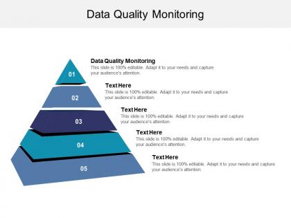 Data quality monitoring ppt powerpoint presentation pictures introduction cpb