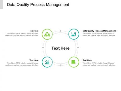 Data quality process management ppt powerpoint presentation infographic template ideas cpb