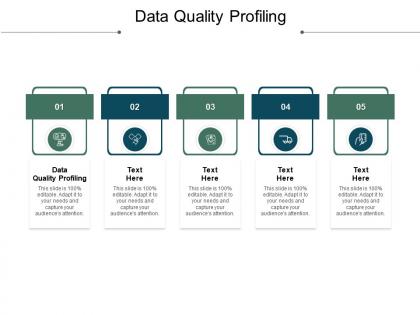 Data quality profiling ppt powerpoint presentation icon shapes cpb