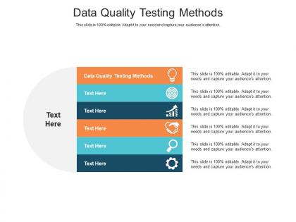 Data quality testing methods ppt powerpoint presentation ideas diagrams cpb